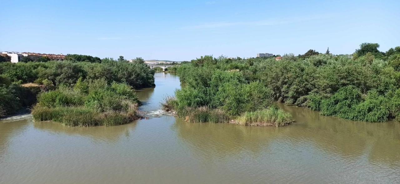 Apartamento La Pequeña Taifa Mezquita catedral Córdoba Exterior foto